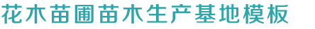 龙八唯一娱乐官网